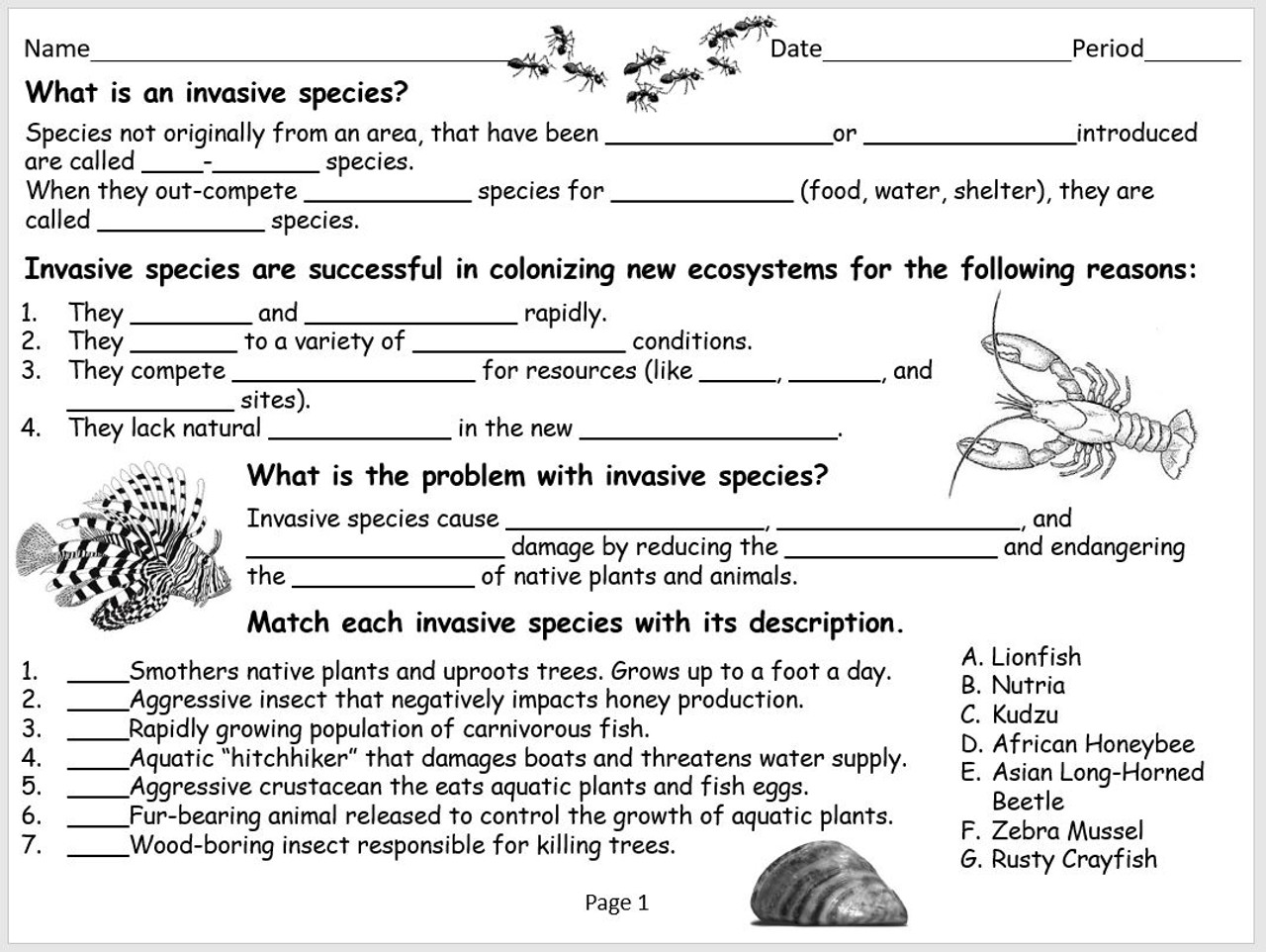 Invasive Species Amped Up Learning
