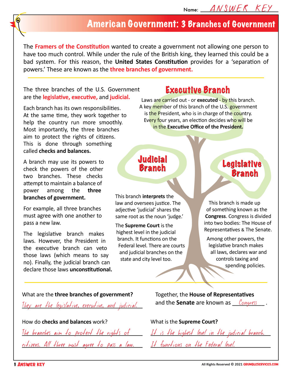 three branches of government tree