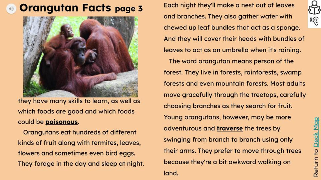 Monkey Habitat Facts: Lesson for Kids - Video & Lesson Transcript