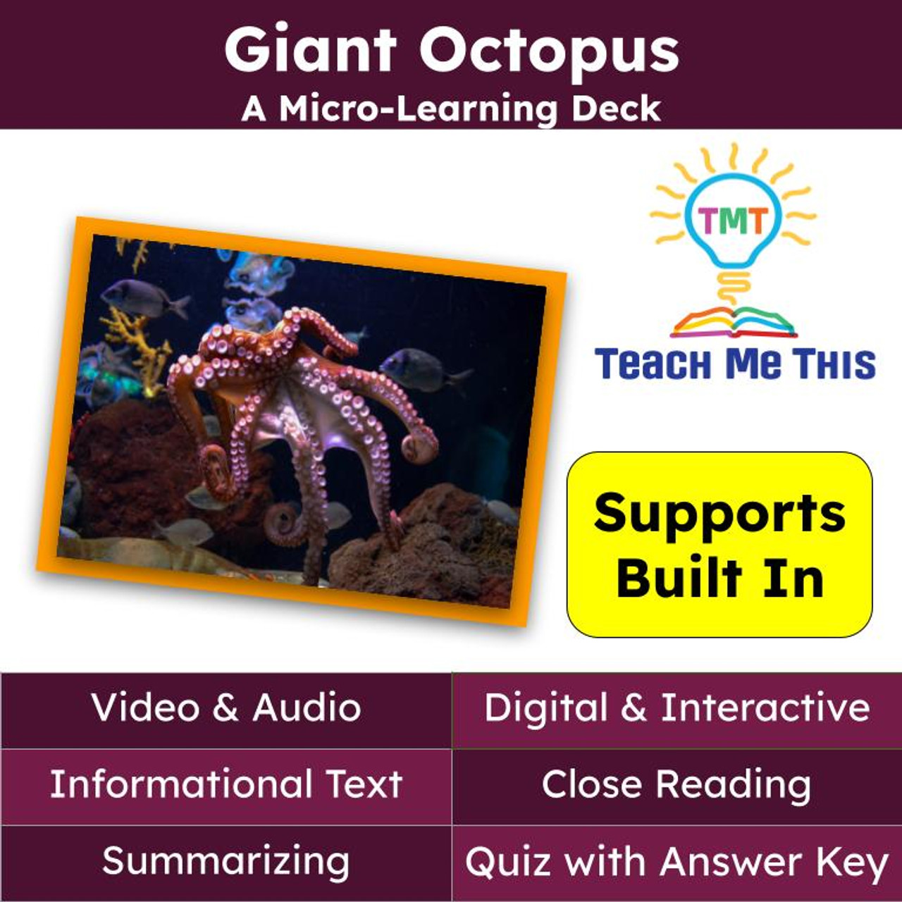 Octopus Informational Text Reading Passage and Activities