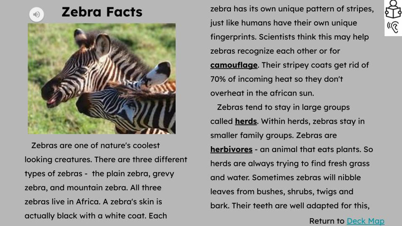 Zebras Informational Text Reading Passage and Activities