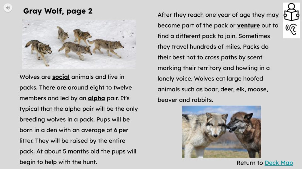 Wolves Informational Text Reading Passage and Activities