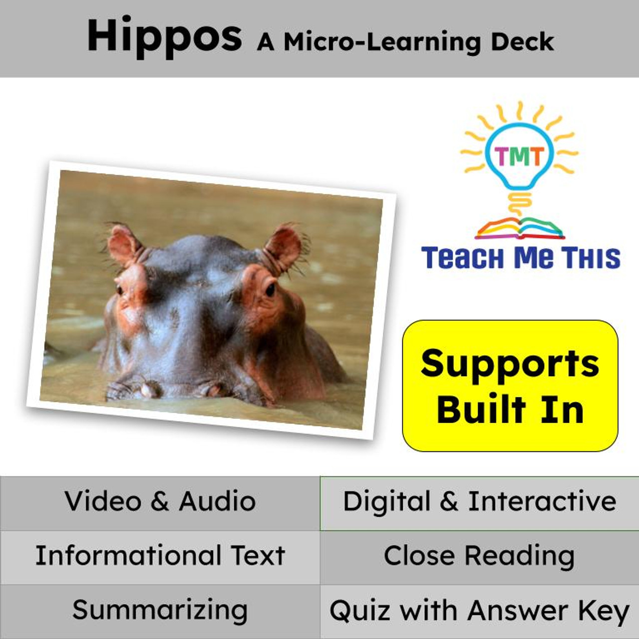 Hippos Informational Text Reading Passage and Activities