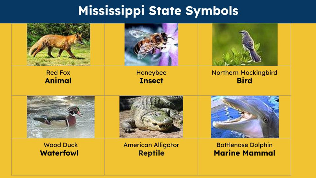 Mississippi (50 States and Capitals) Informational Text and Activities