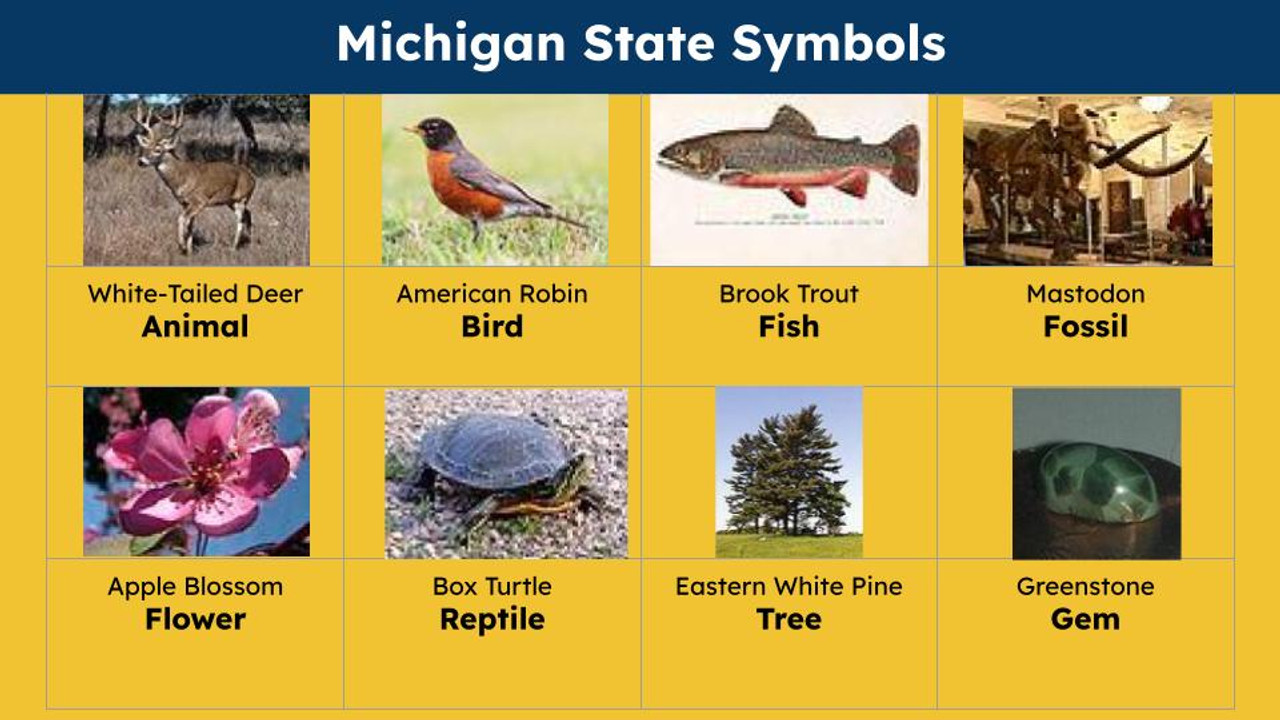 Michigan (50 States and Capitals) Informational Text and Activities