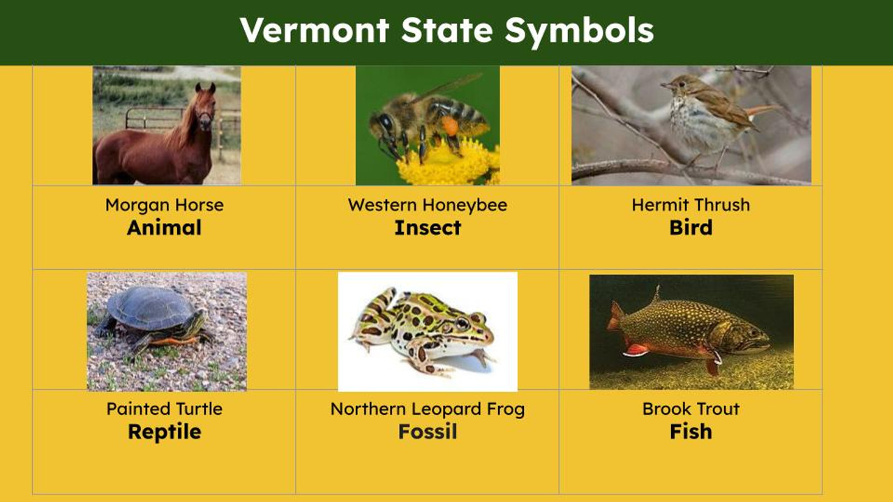 Vermont (50 States and Capitals) Informational Text and Activities