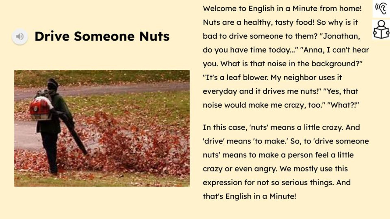 Drive Someone Nuts Figurative Language Reading Passage and Activities