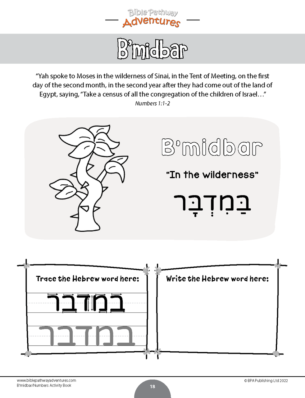 B'midbar | Numbers Torah Portion Activity Book