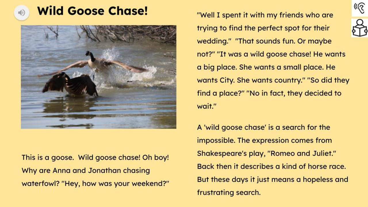 Wild Goose Chase Meaning, Examples, Synonyms