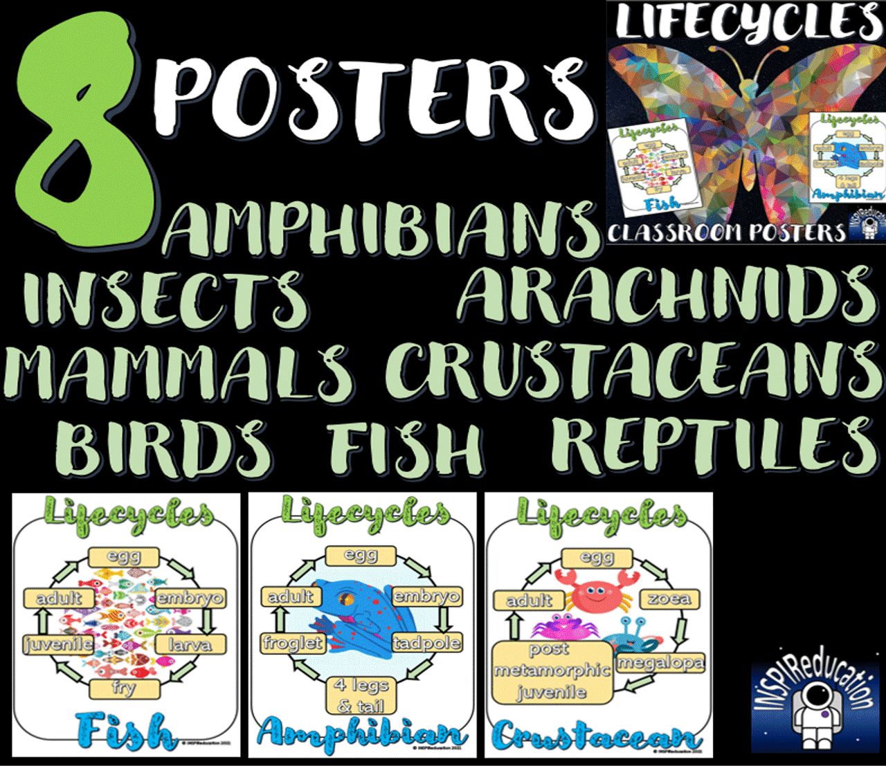 SCIENCE: Animal Lifecycles - 8 Taxonomic Groups, 8 Posters (Color and Black and White)