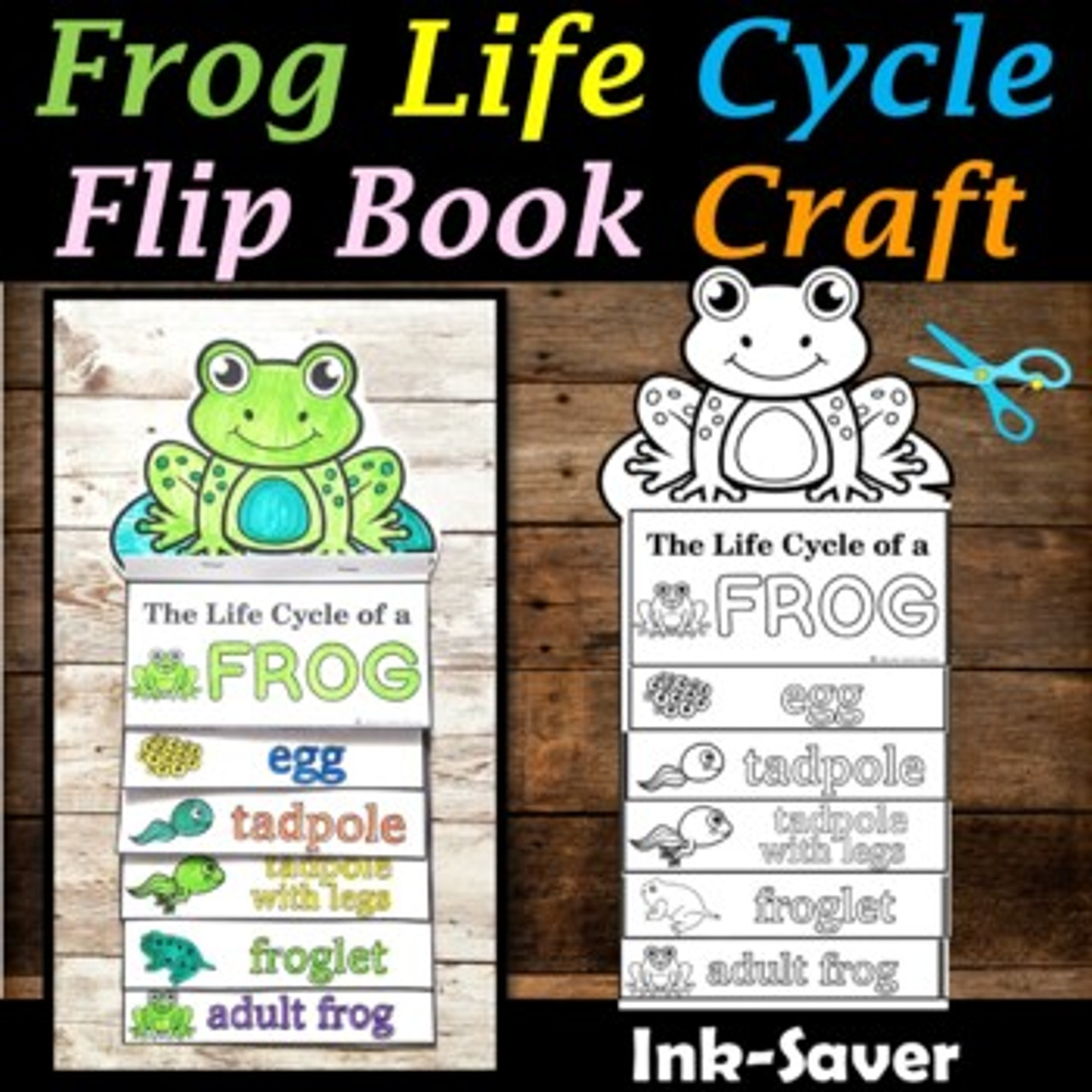 Life Cycle of a Frog Figurine Set – The Tiny Trove