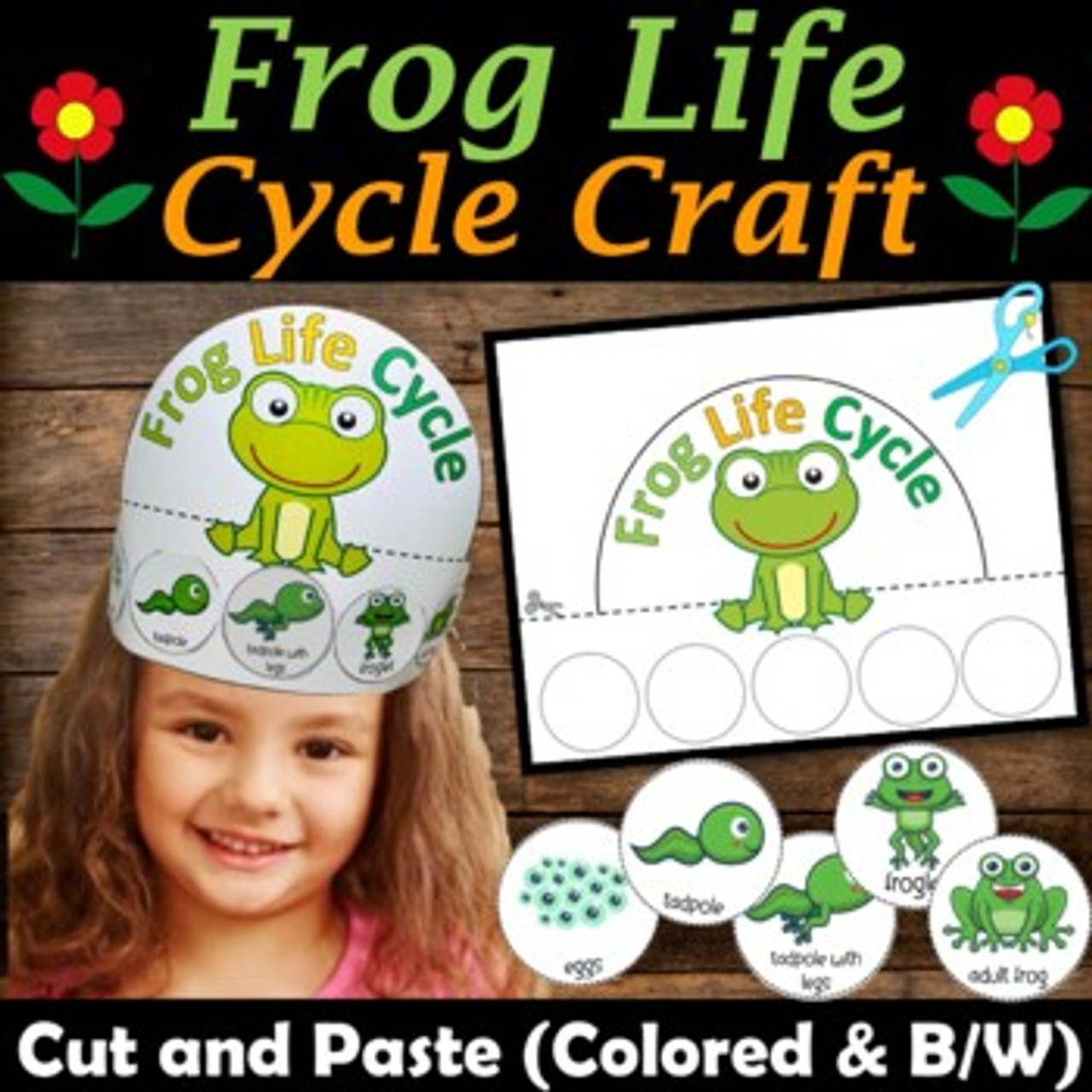 frog life cycle craft