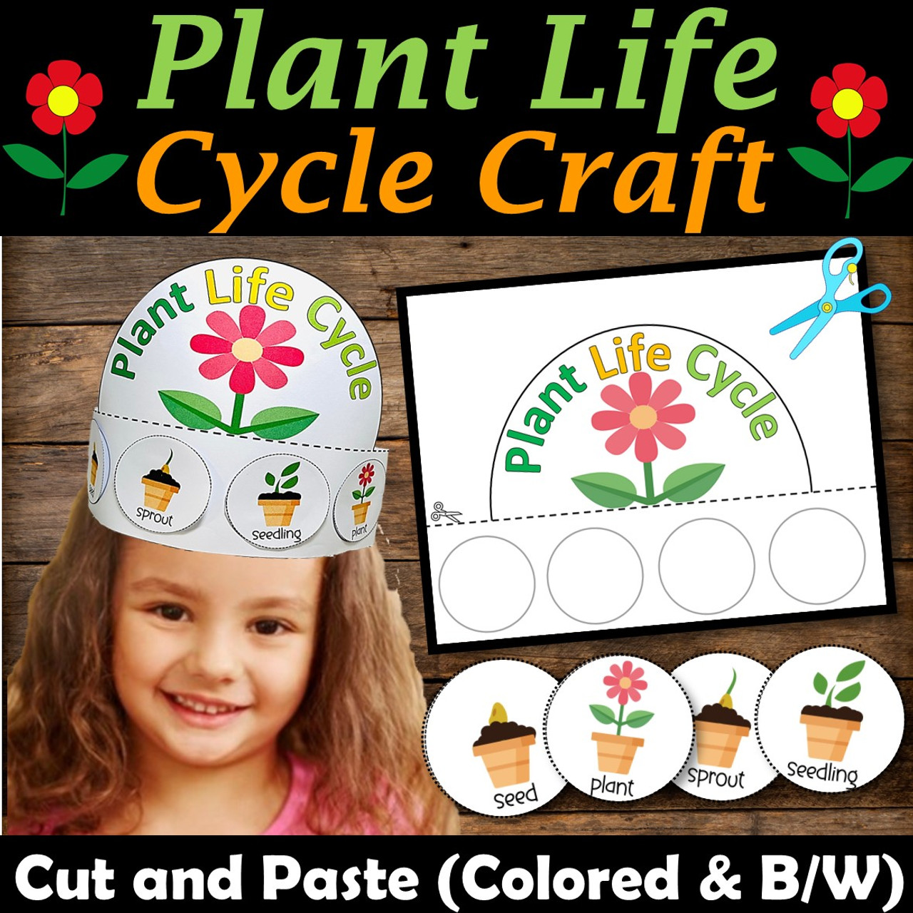 life cycle of a plant cut and paste