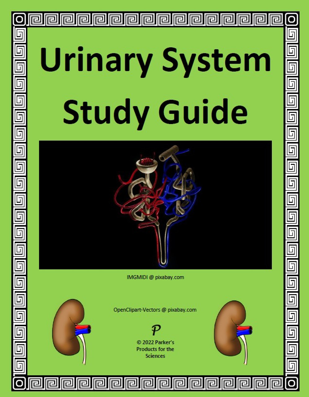 Urinary System Study Guide Packet
