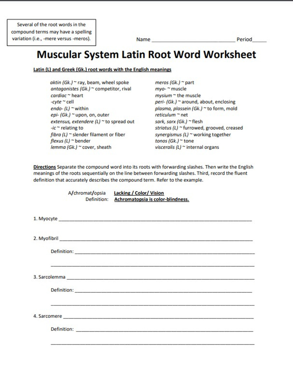 Muscular System Latin Root Word Worksheet