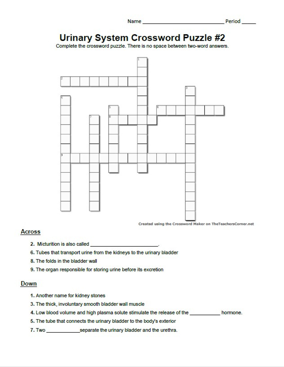 Urinary System Crossword Puzzle Series