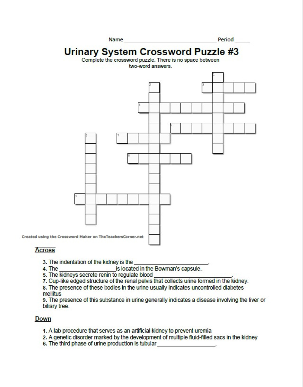 Urinary System Crossword Puzzle Series