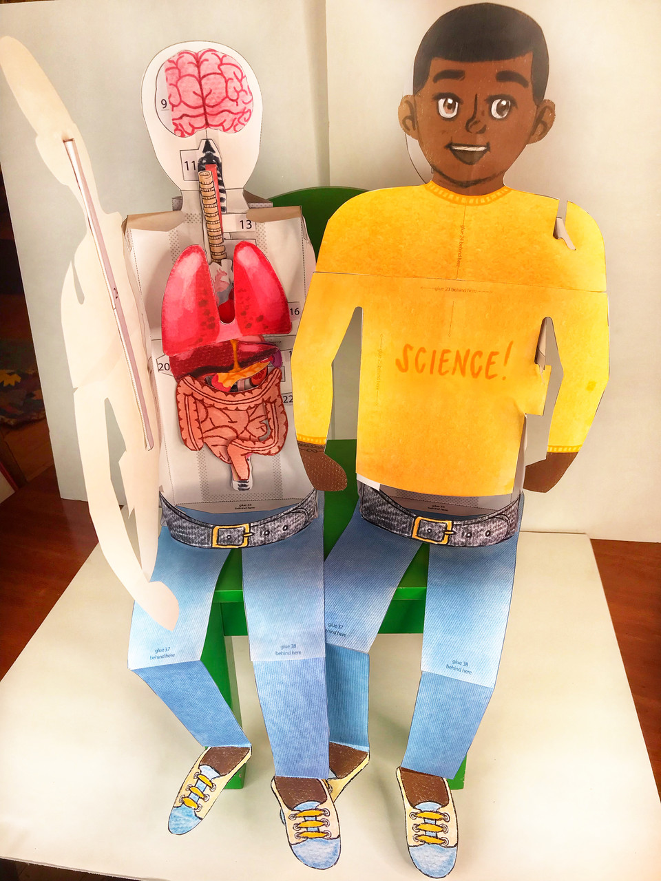 Human Body Systems Projects Bundle | STEM Activities