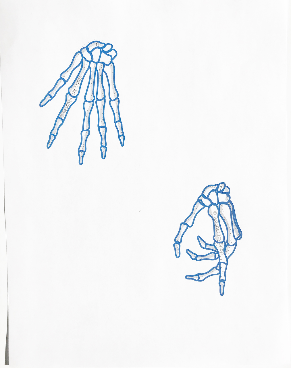 Human Body Systems Projects Bundle | STEM Activities