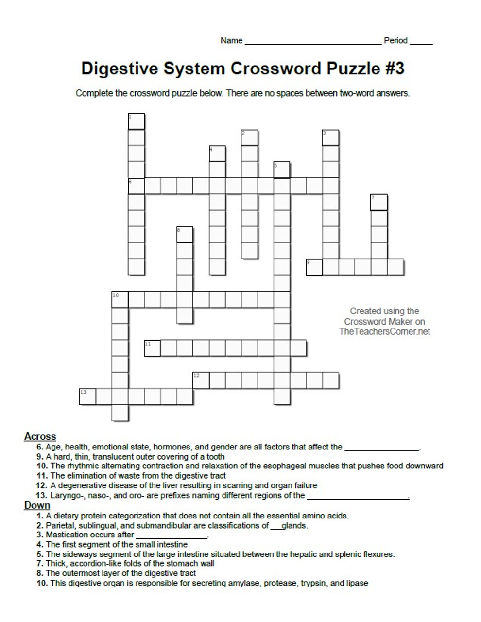 Digestive System Crossword Puzzle Set of Four Amped Up Learning