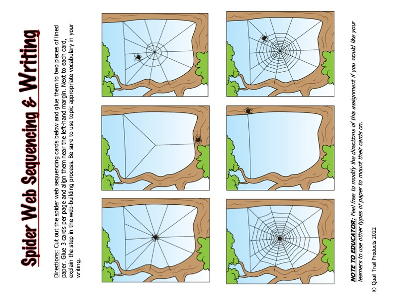 Types of Spider Webs