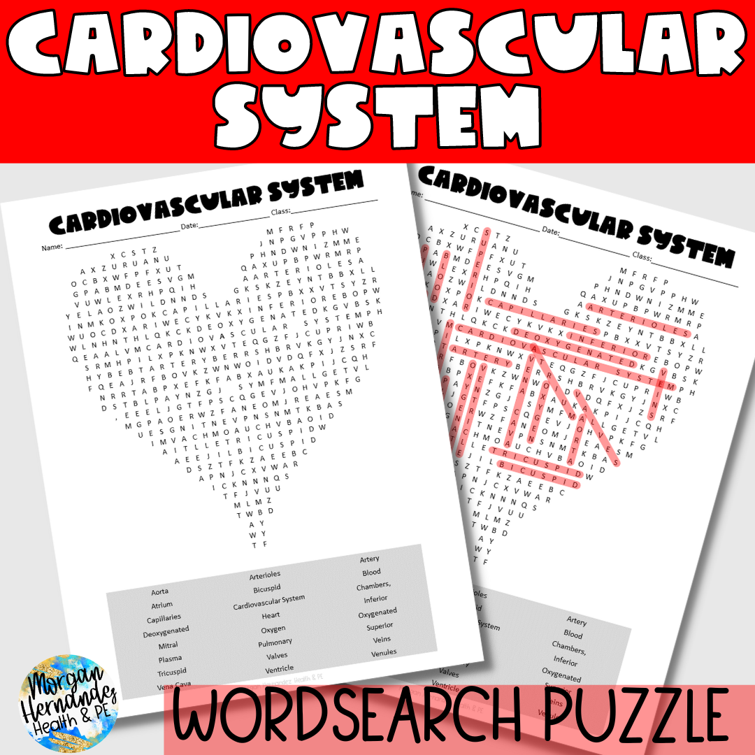 Cardiovascular System Word Search Puzzle