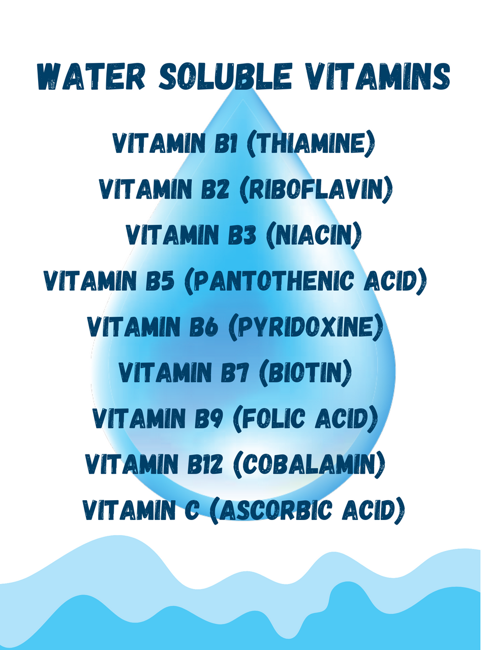 Pharmacy Illustrations Series 1 Vitamins and Refrigerated Products