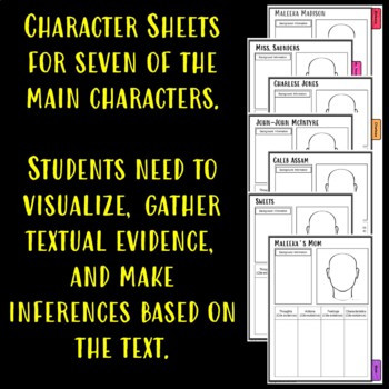 The Skin I'm In Characterization Flip book
