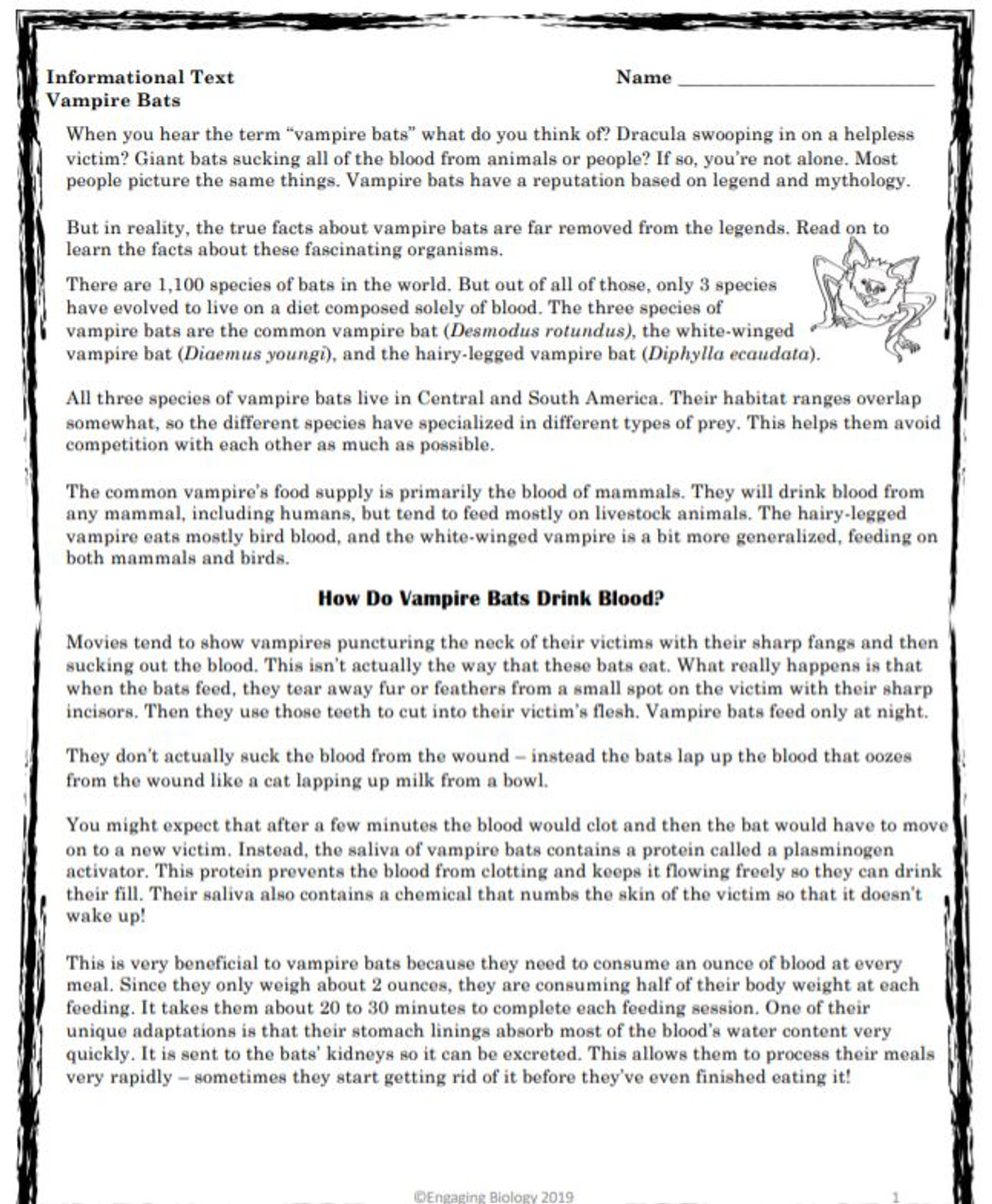Vampire Bats Informational Text and Activity Amped Up Learning