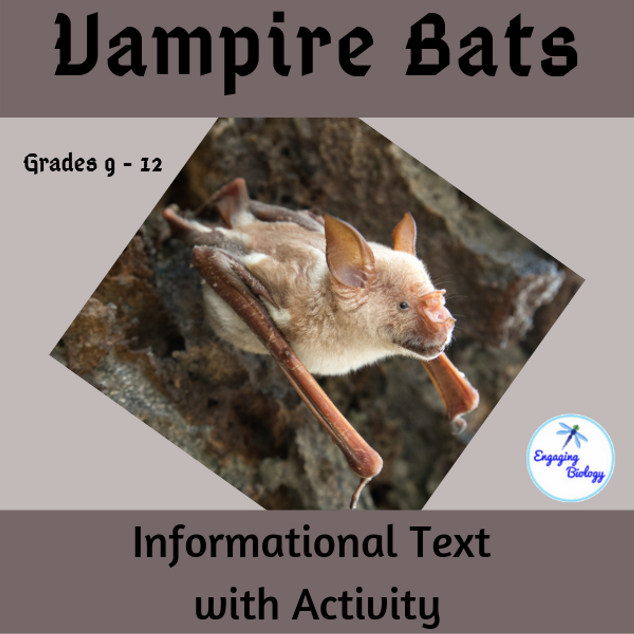 Vampire Bats - Informational Text and Activity