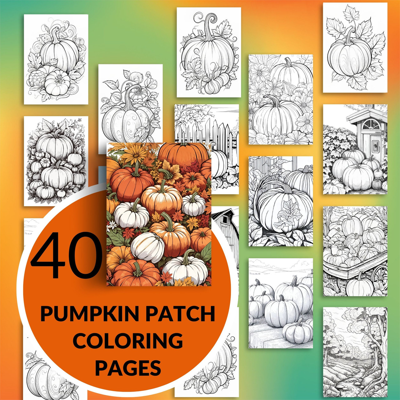 Printable Adult Color by Numbers Coloring Pages 8.5x11 Sheets Digital  Instant PDF Download 