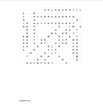 Marine Plants Word Search for Aquatic or Marine Science Amped Up Learning