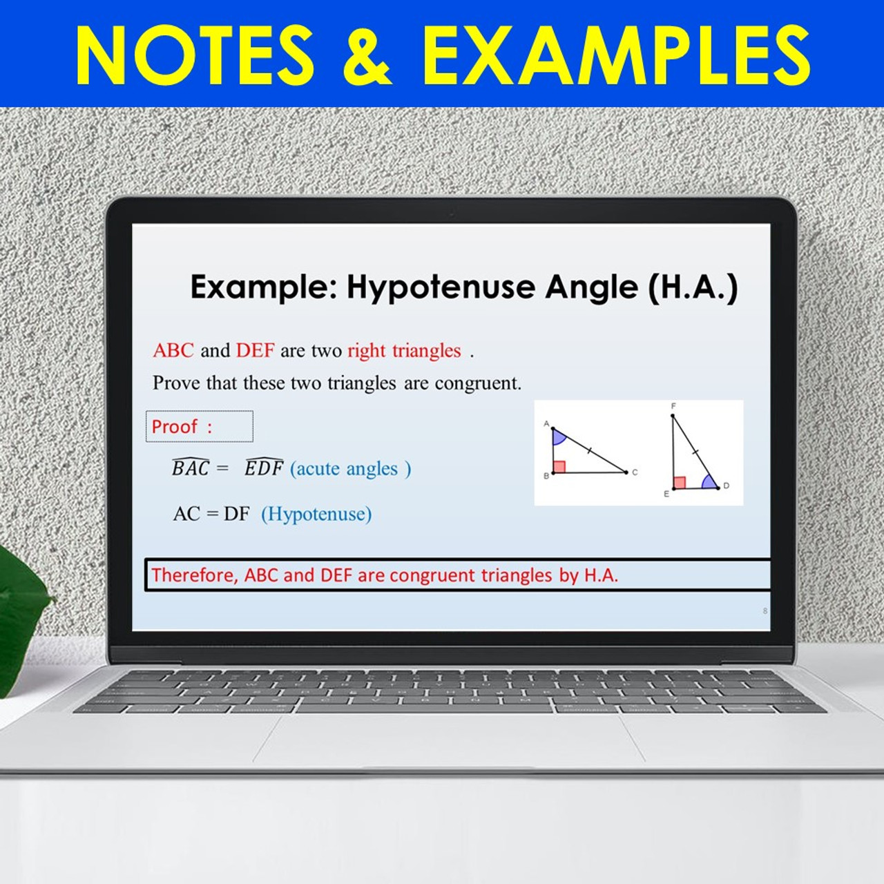 Types of Angles Teaching Slides