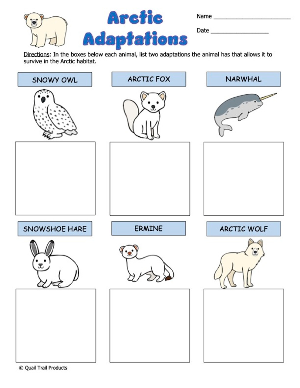 Animal Adaptations in the Arctic Habitat Worksheets and Activities