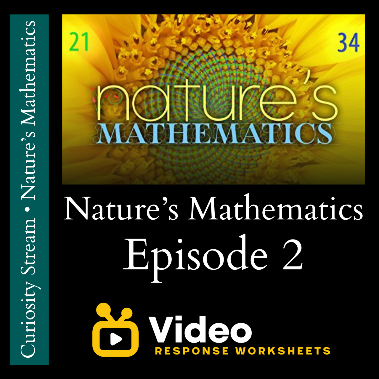 Nature's Mathematics - Episode 2 - Video Response Worksheet and Key ...