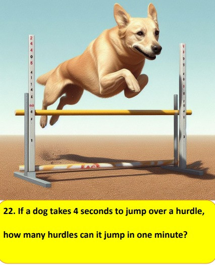 Math Activity | 25 Dogs themed math , w/realistic images
