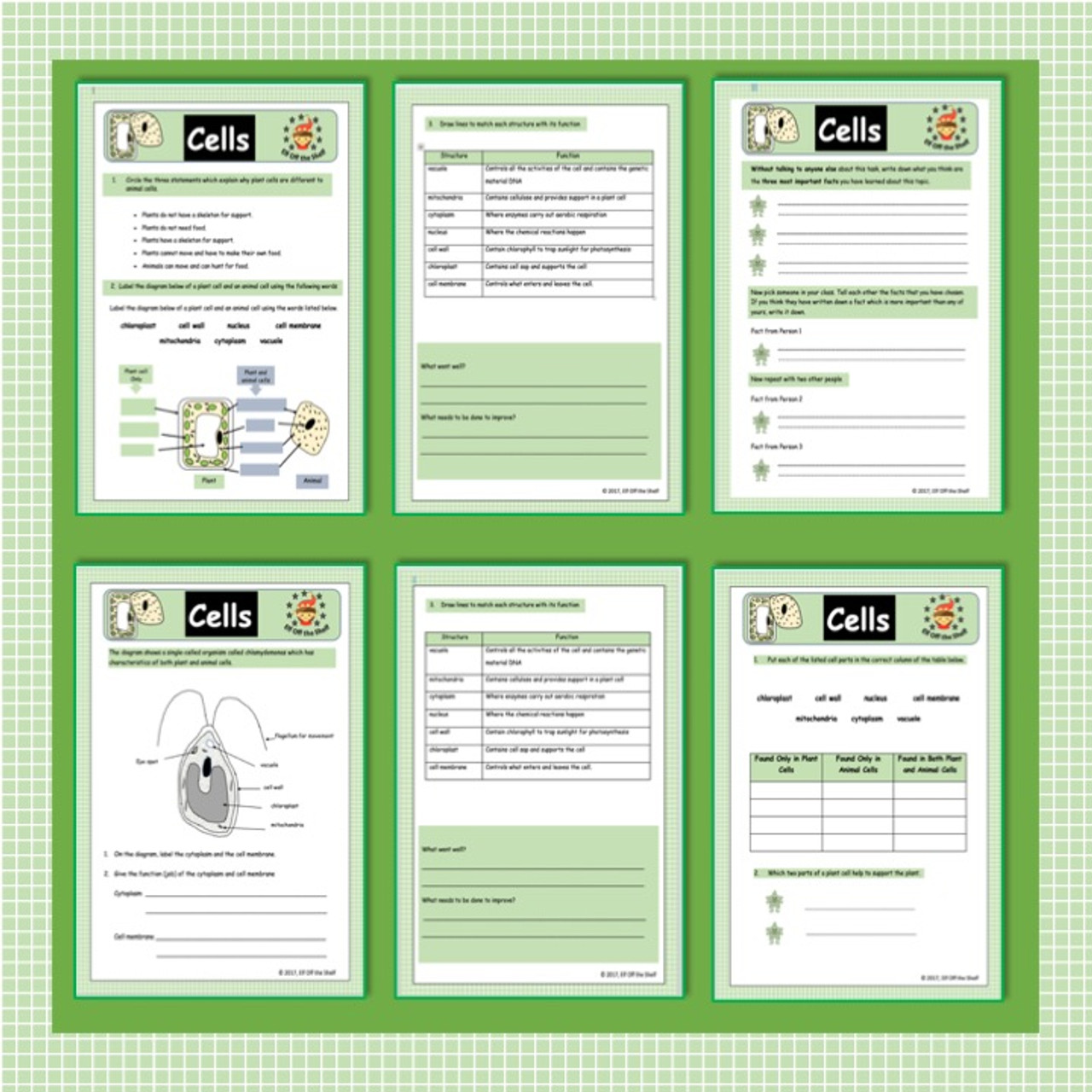 Plant and Animal Cells - Structure, Differences and Specialisation