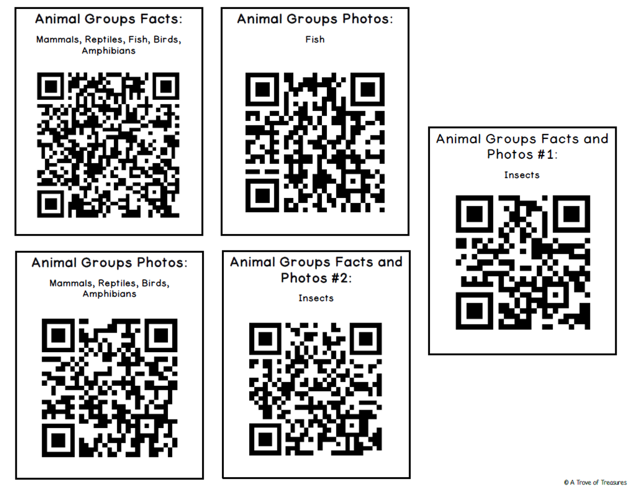 Animal Groups Classification Mega Pack