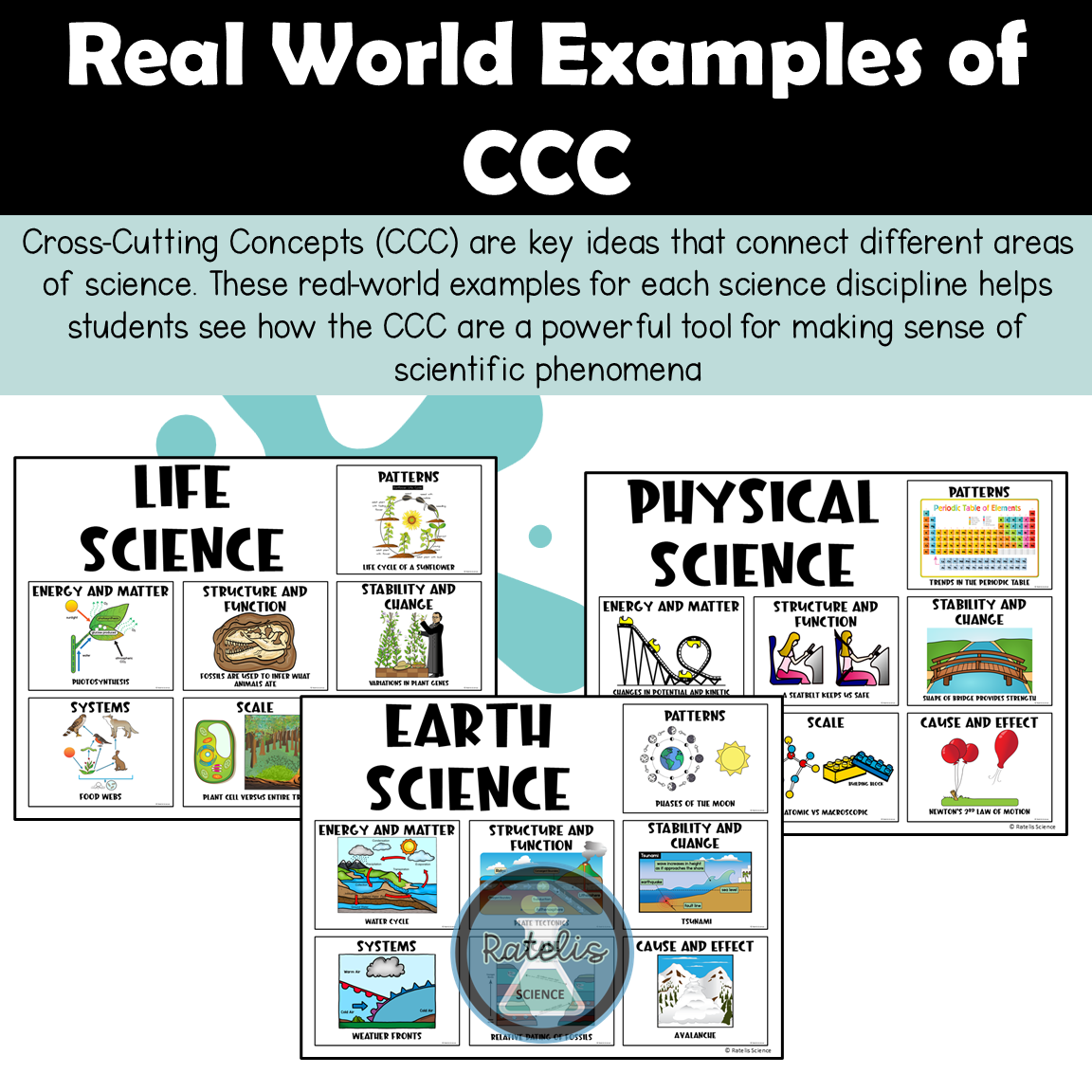 science poster ideas connections