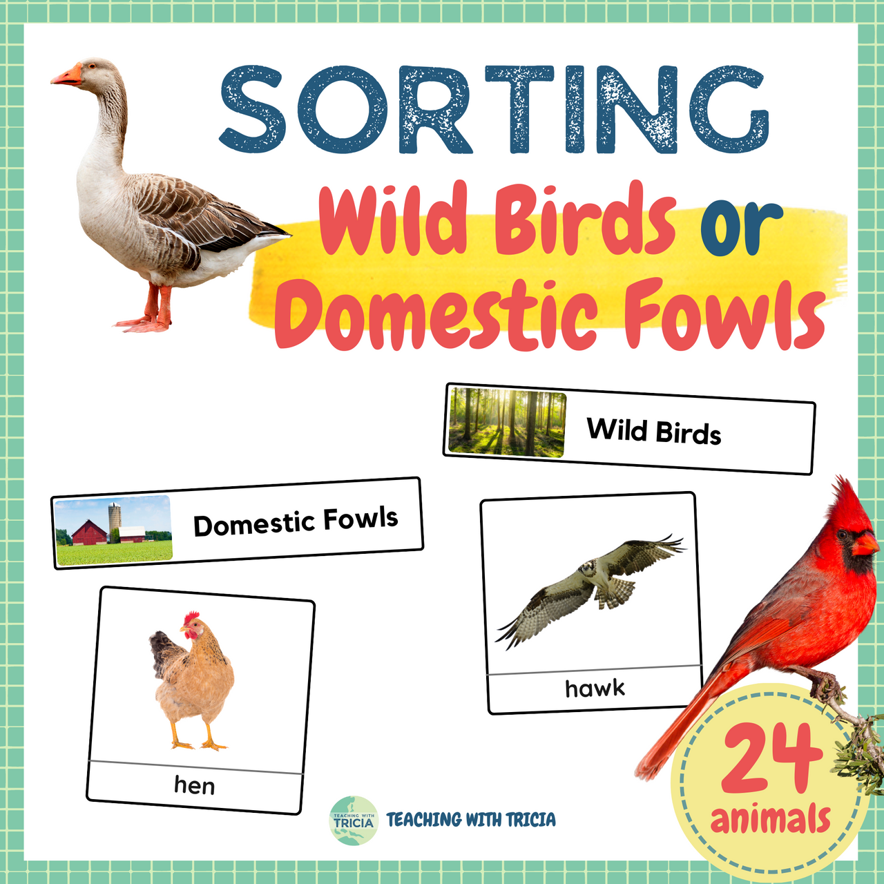 Animals Sorting Wild Birds or Domestic Fowls (Real Photos) Amped Up