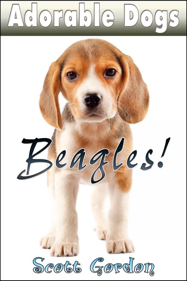 Male Dog Cute Female Beagle Names Animal Female Beagle Puppy Names