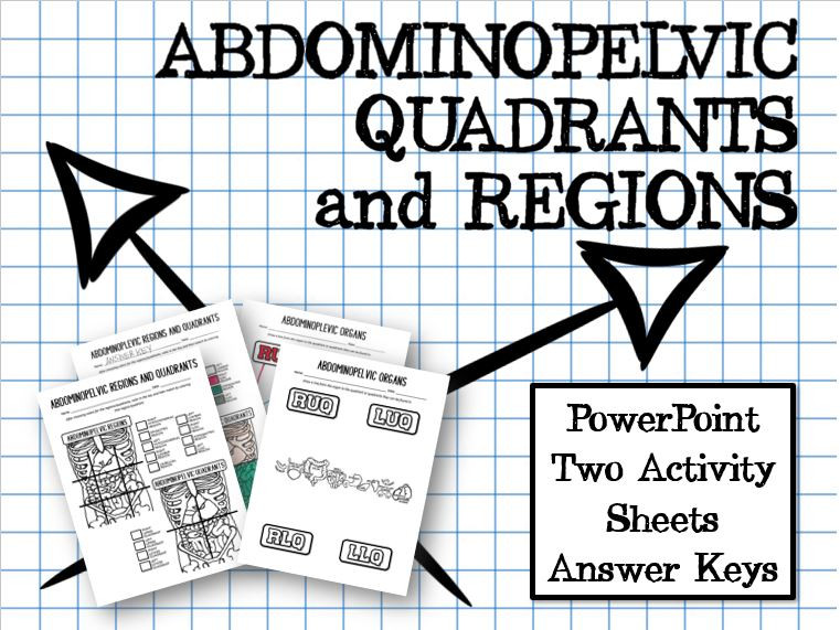 Body Quadrants and Regions PowerPoint and Activity Sheets ...