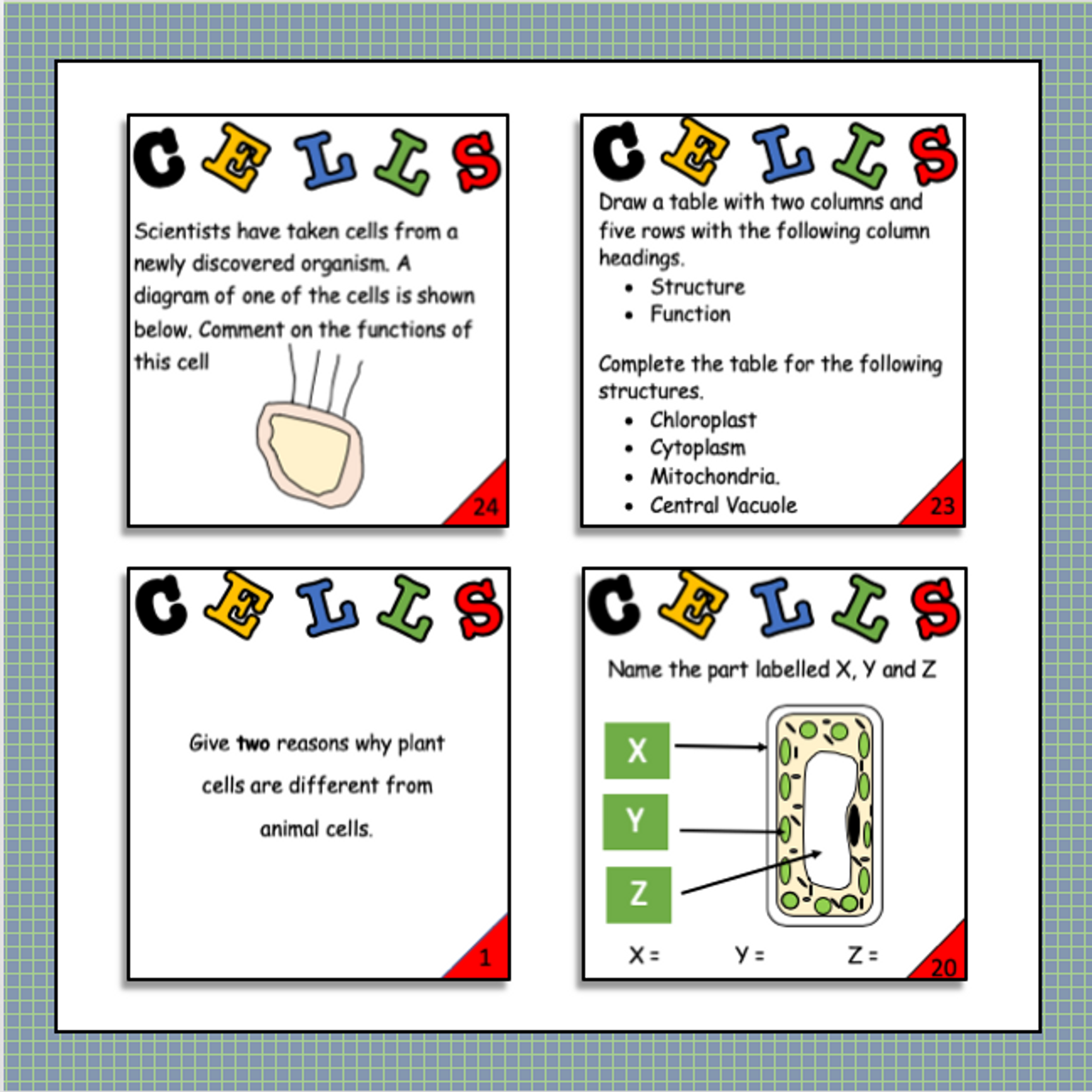 Plant and Animal Cells - Structure, Differences and Specialisation 24 Task Cards-FREE