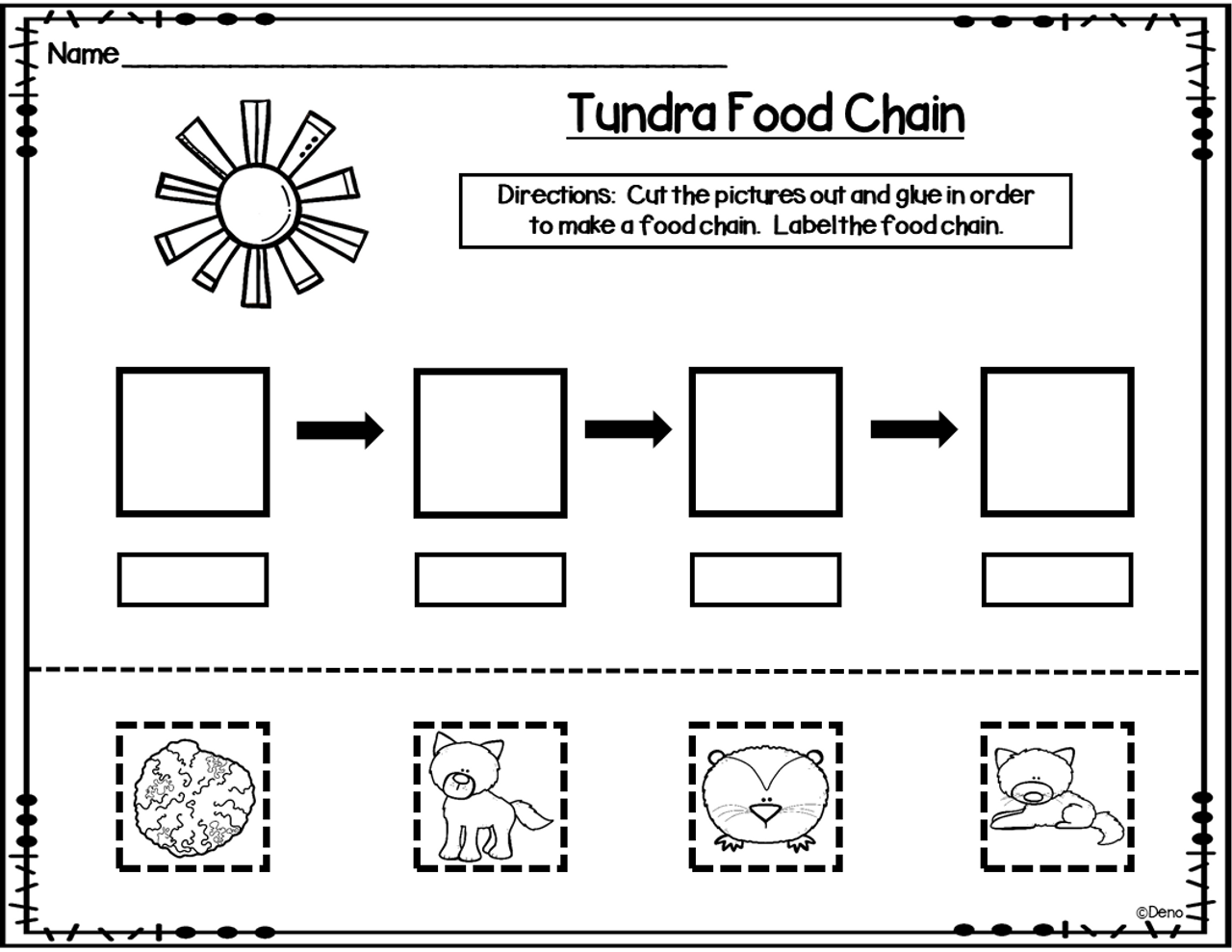 Food Chains