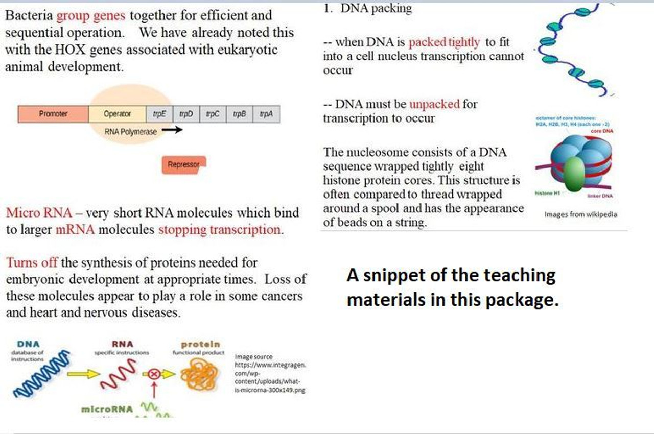 Gene Regulation, Expression and Mutations Learning Activities for AP Biology (Distance Learning)