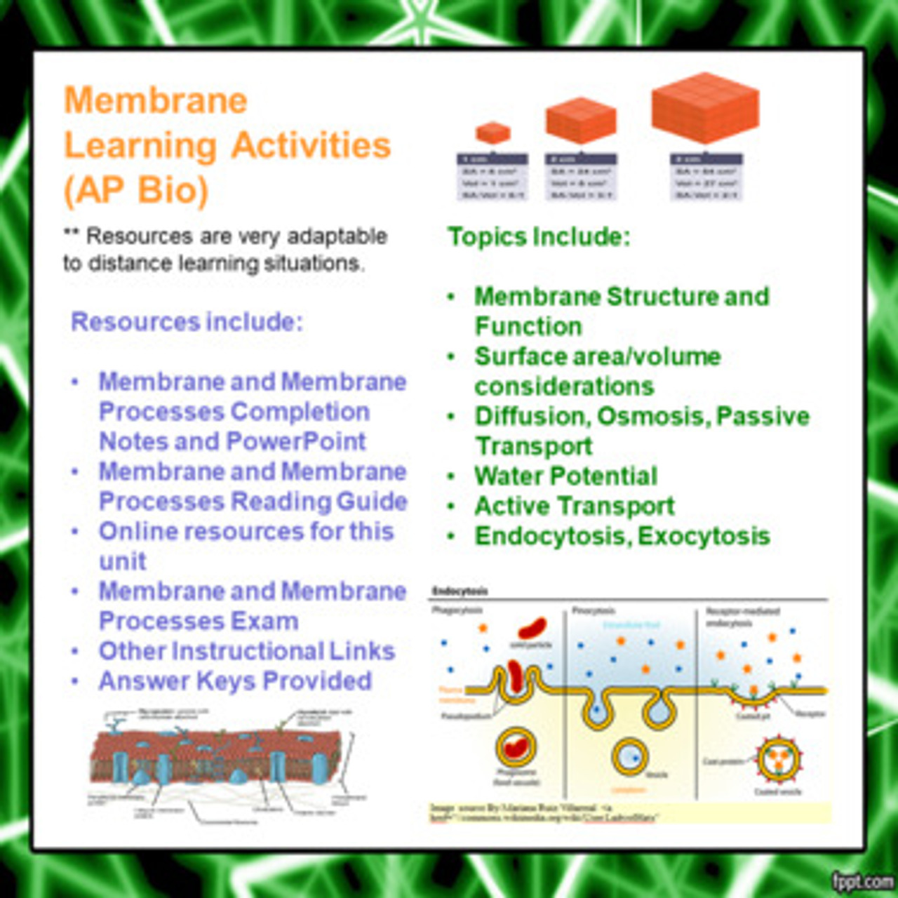 Membrane Learning Activities for AP Biology (Distance Learning