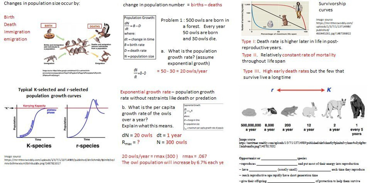 Population Ecology Learning Activities for AP Biology (Distance Learning)