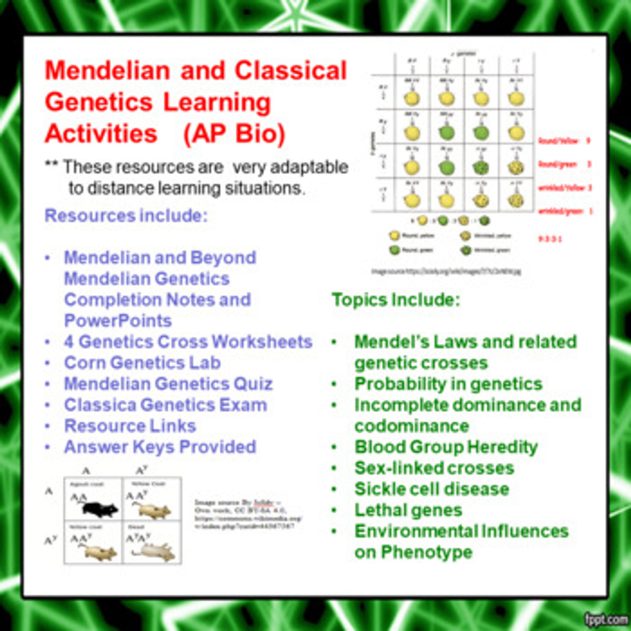 Mendelian/Classical Genetics Learning Activities for AP Biology (Distance  Learning) For Mendelian Genetics Worksheet Answers