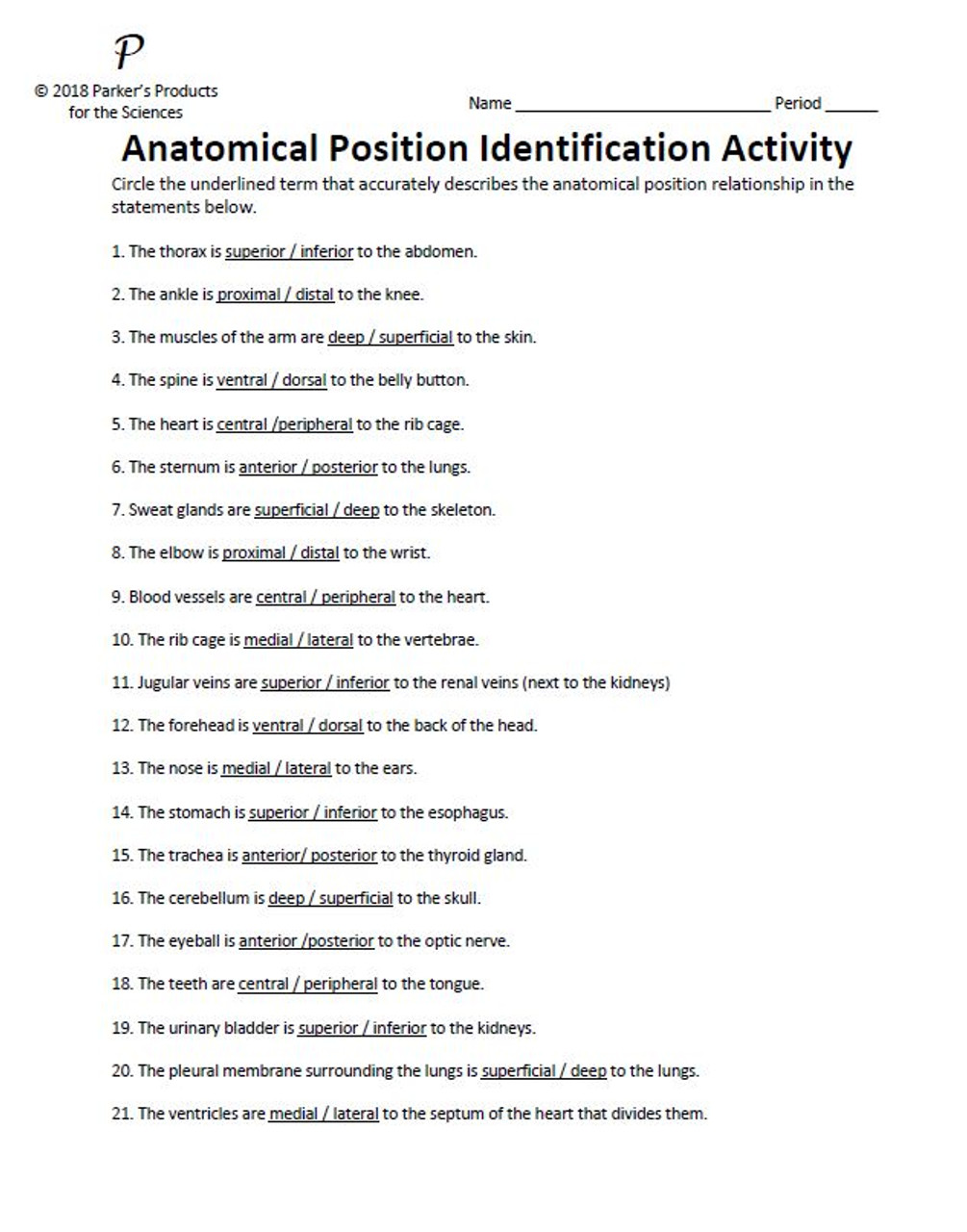 Anatomical Position Term Activity Series