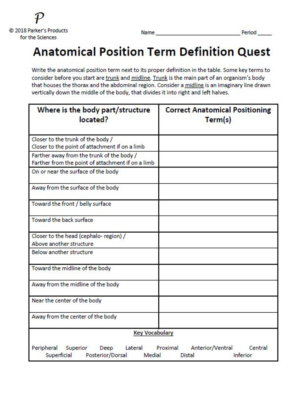 Anatomical Position Term Activity Series